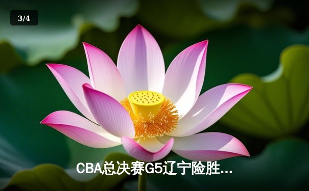 CBA总决赛G5辽宁险胜广东 赵继伟24+11夺赛点 - 3