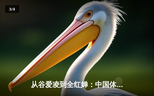 从谷爱凌到全红婵：中国体育新生代的崛起与挑战 - 3